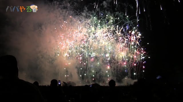 ページ 49 パパやる