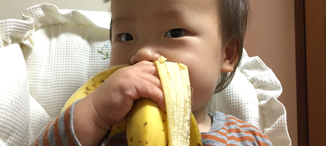 1歳1ヶ月、大好物のバナナを一本丸かじり。ニヤニヤがおさまらず爆笑！