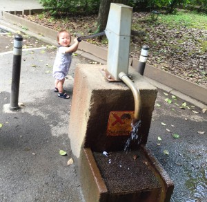 世田谷公園の井戸。大人の真似をして、ポンプで水を出せるようになりました。
