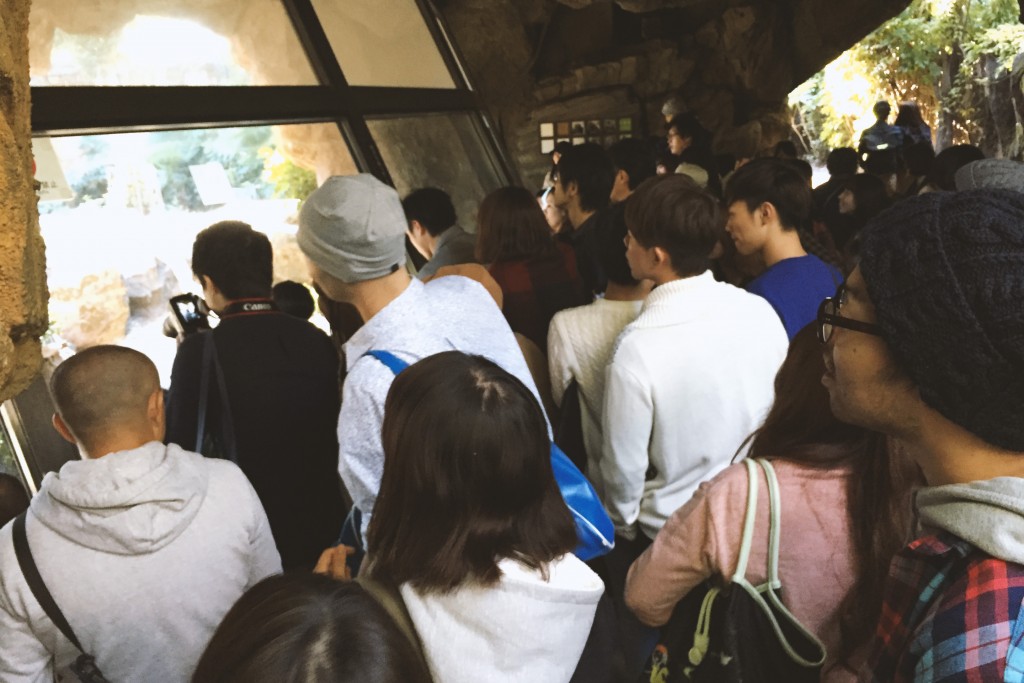 日曜日の上野動物園は混む