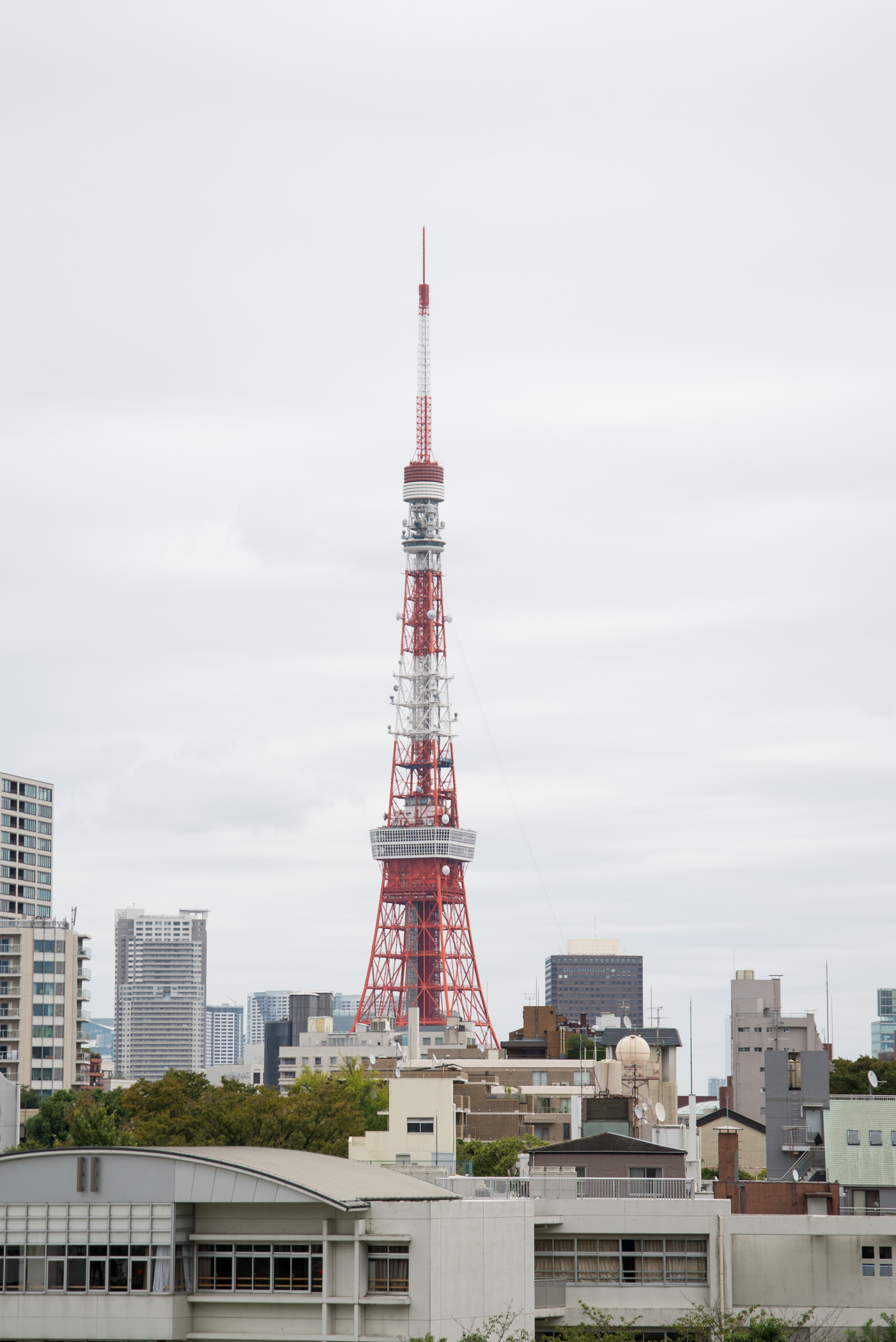 六本木ヒルズから眺める東京タワー