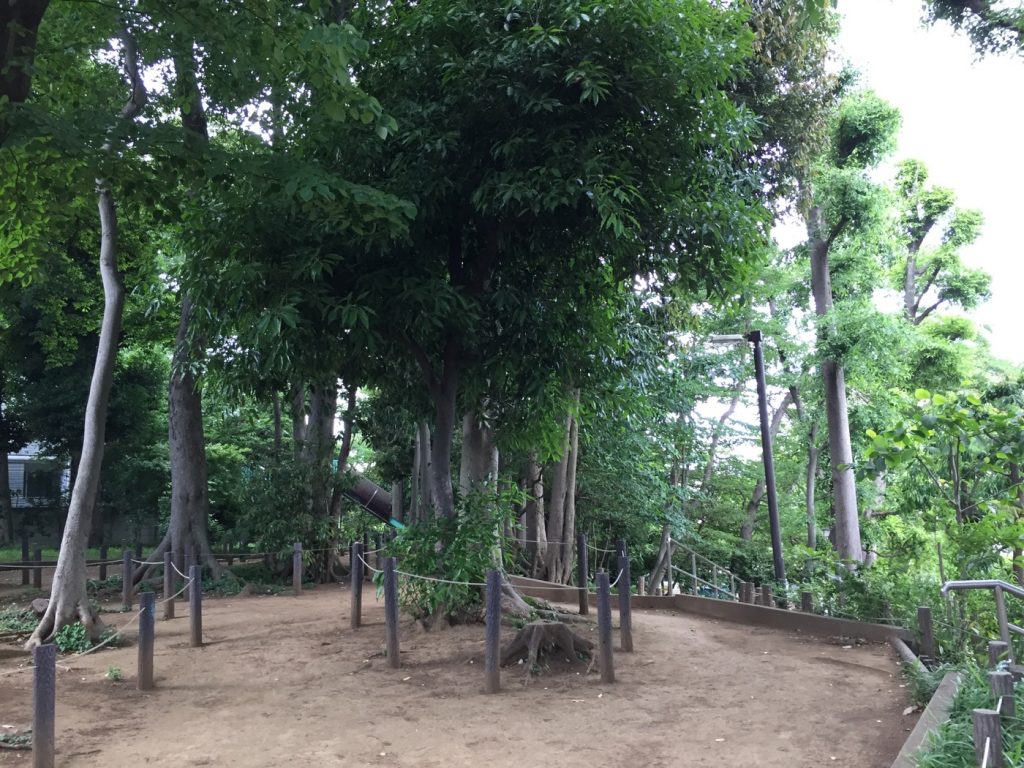 中根公園 生い茂る木々