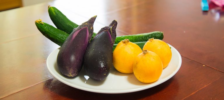 ご近所さんから頂きたお野菜（きゅうり、なす、びわ）