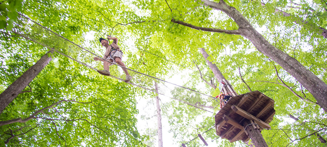北軽井沢のスウィートグラスアドベンチャーは、まるで森の空中散歩。無料エリアと小1（身長110cm）からチャレンジできる有料エリア