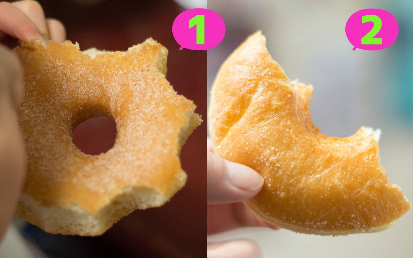 ドーナツの食べ方には ふた通りあることがわかった あなたはどっち パパやる