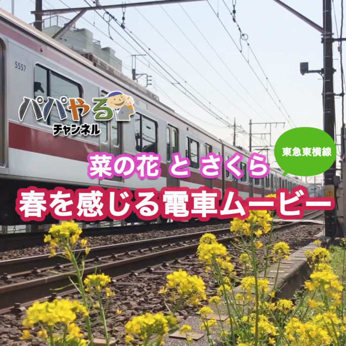 菜の花とさくら「春を感じる電車ムービー」東急東横線