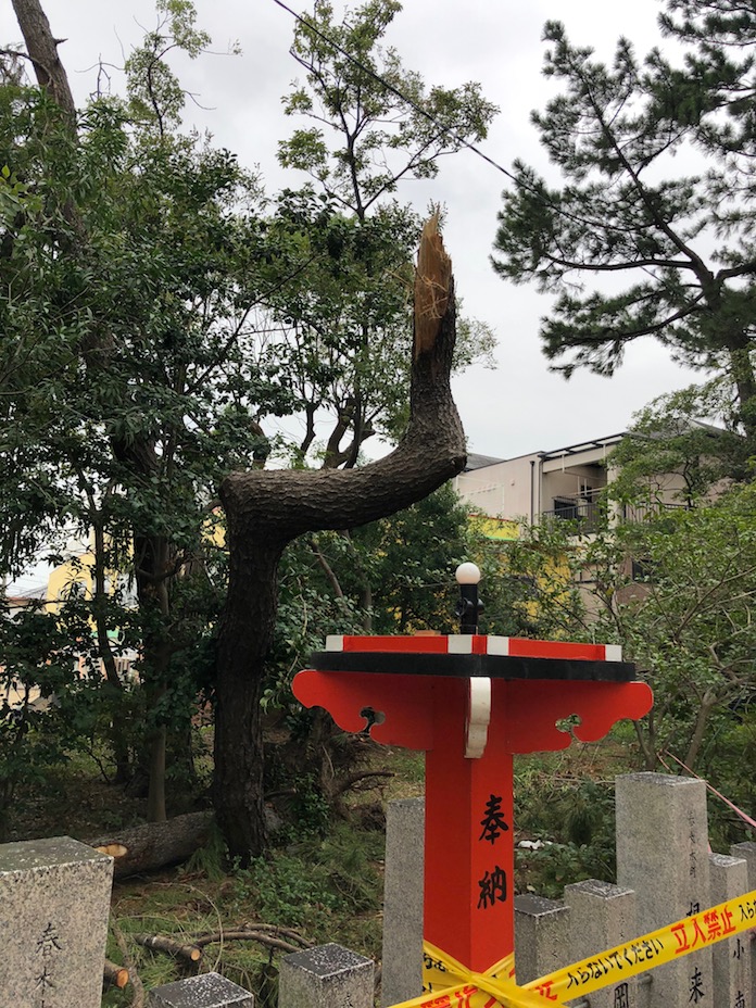弥栄神社（岸和田市）台風で壊れた灯篭