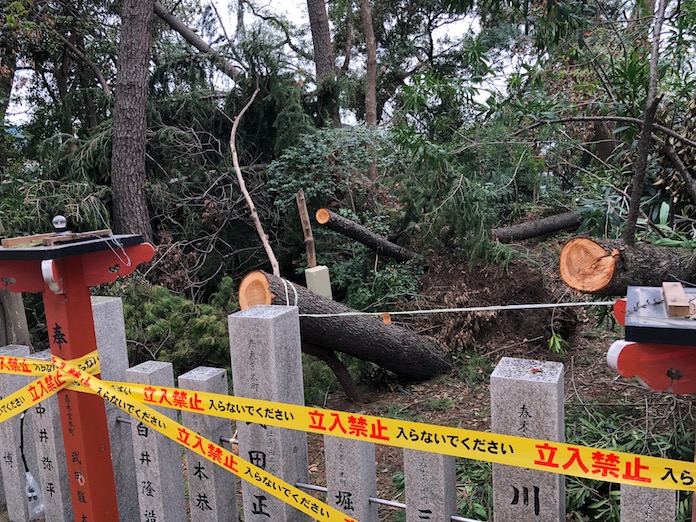 弥栄神社（岸和田市）台風で倒れた木々