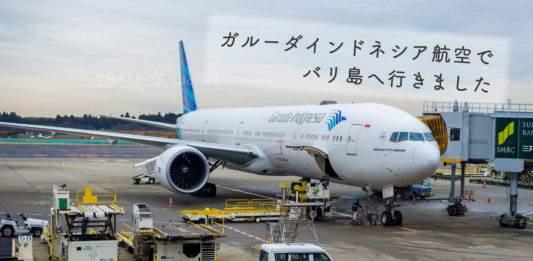 ガルーダインドネシア航空の飛行機（成田空港）