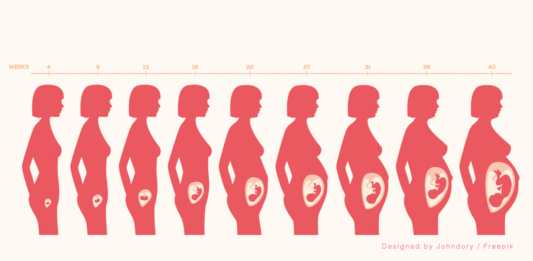 妊娠中の女性の身体の変化（週別）