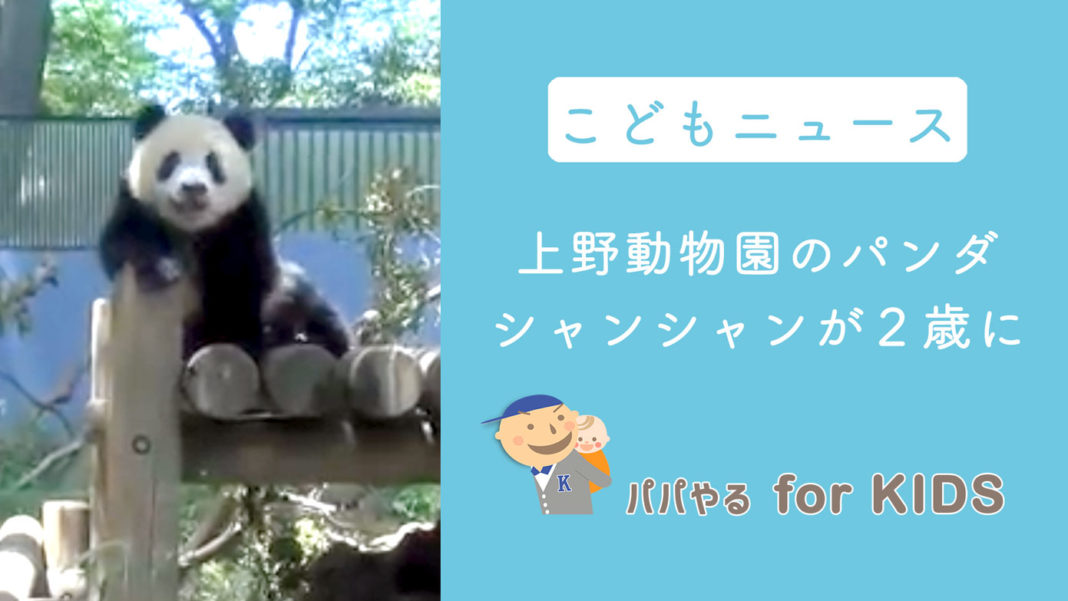 子どもニュース　上野動物園のパンダ・シャンシャンが2歳に