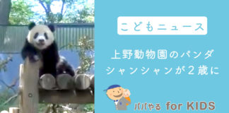 子どもニュース　上野動物園のパンダ・シャンシャンが2歳に