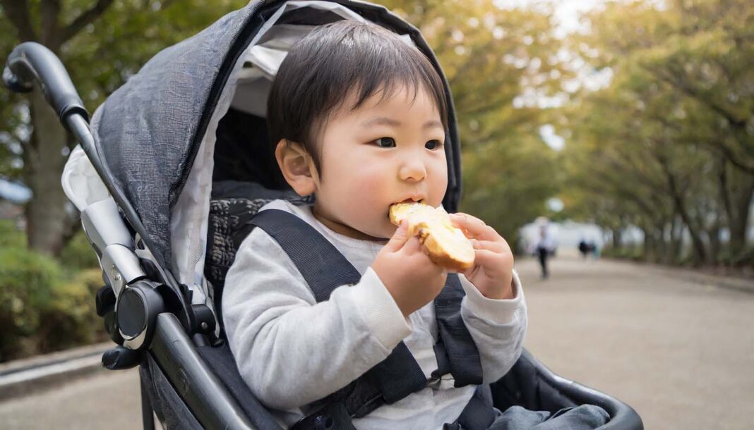 ベビーカーに乗っている赤ちゃんがパンを食べているところ