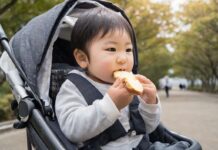 ベビーカーに乗っている赤ちゃんがパンを食べているところ