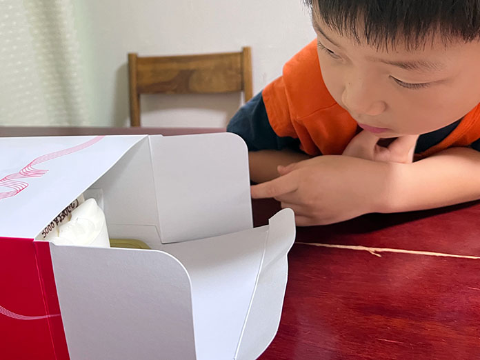 ケーキの箱を覗き込む8歳の息子