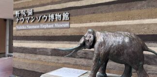 野尻湖ナウマンゾウ博物館