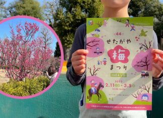 羽根木公園の「第44回 せたがや梅まつり」へ行ってきたよ！