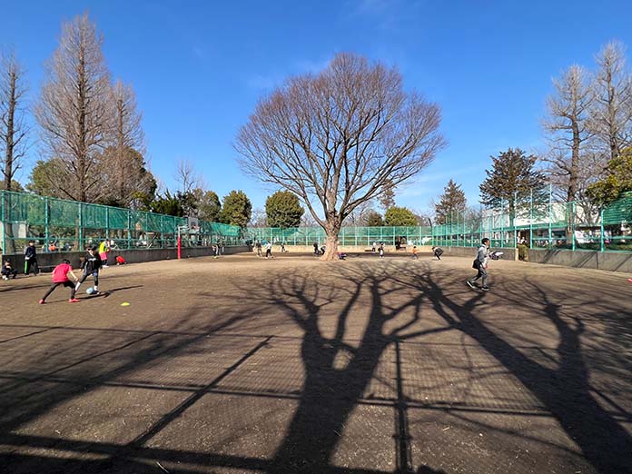 羽根木公園 ボール遊びができるスペース