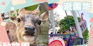 小諸市動物園と児童遊園地