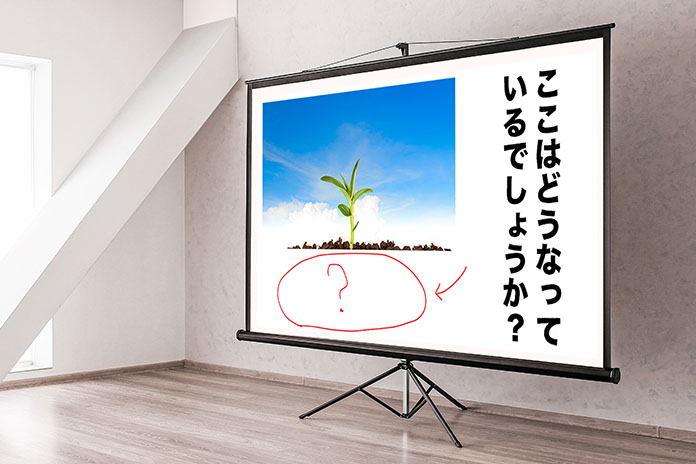 テレビに映し出された問題。植物の下（土の中）はどうなっているでしょうか？