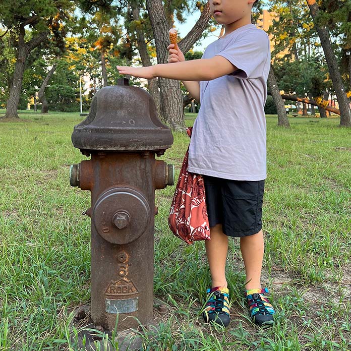浜寺公園にあるすごく古い消火栓