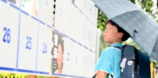 小学校の前に設置された選挙ポスター掲示板を見る小学生男児