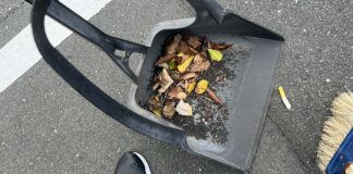 チリトリとホウキで、吸い殻や落ち葉を拾っている
