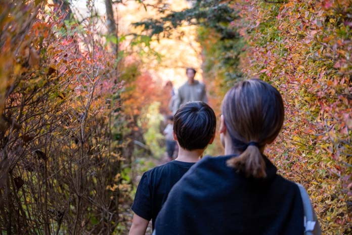 雲場池の周囲を歩いている