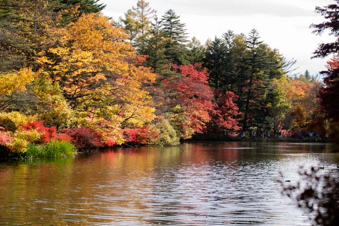 雲場池の紅葉