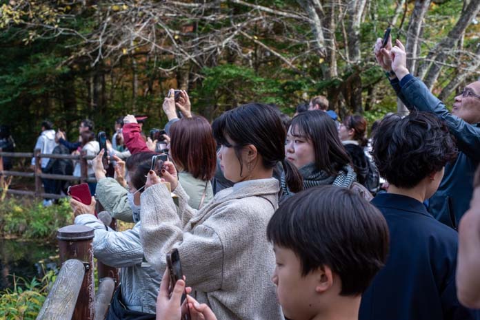 雲場池で撮影する人々